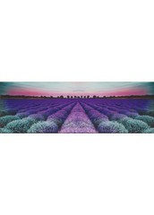 Dekor Milano Lavender Field Glass 25X75