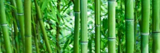 Dekor Savona Bamboo Sklo 2 75x26