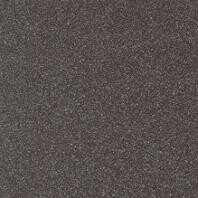 TAURUS GRANIT, TAA26069, dlaždice slinutá, 198x198x9, černá