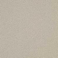 TAURUS GRANIT, TR326061, dlaždice slinutá, 198x198x9, tmavě béžová